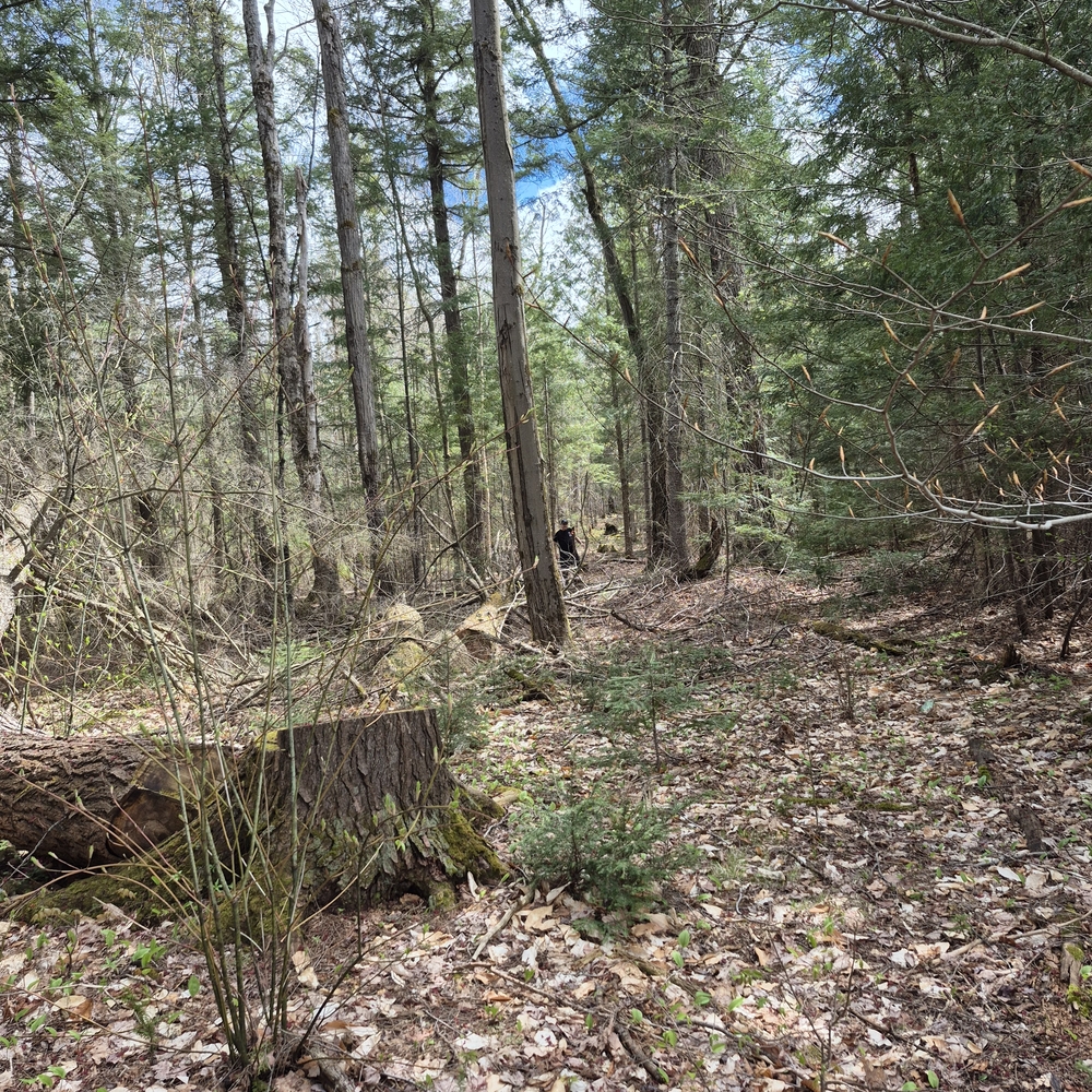 20 Acres Northern Ontario vacant Land For Sale.